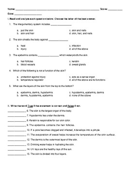 Layers of the Skin Worksheet by Ubod | TPT