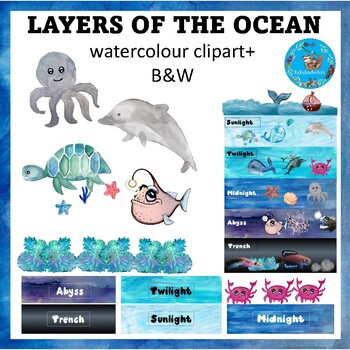 Preview of Layers of the Ocean (zones) {Earth Science and Marine Biology ClipArt}