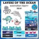 Layers of the Ocean (zones) {Earth Science and Marine Biol