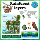 Rainforest Layers Clip Art {Watercolour Earth Science Clip Art}