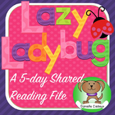 Lazy Ladybug Shared Reading Kindergarten/1