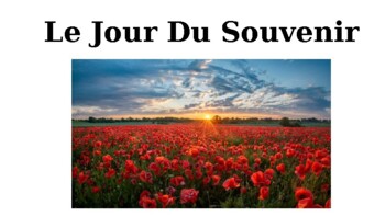 Preview of Le Jour Du Souvenir ppt