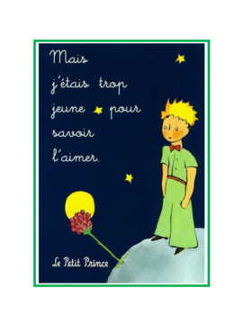 Le Petit Prince ~ Vocabulary Chapter by Chapter + Crossword Puzzles