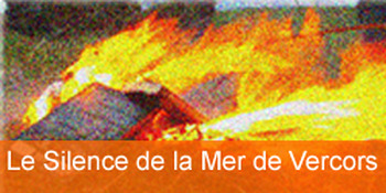 Preview of Le Silence de la Mer by Vercors, comprehensive resources for teaching