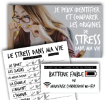 Le Stress Dans Ma Vie (French)