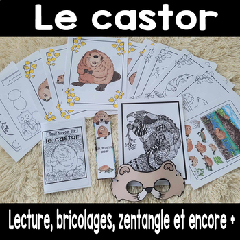 Preview of Le castor lecture et activités GRATUIT FREE