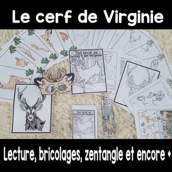 Preview of Le cerf de Virginie lecture et activités