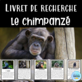 Le chimpanzé: Livret de recherche animaux (French animal r