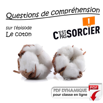 Preview of Le coton - Compréhension