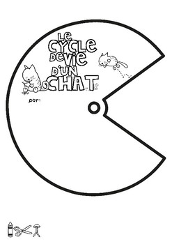 Le Cycle De Vie D Un Chat French Life Cycle Spinner Tpt