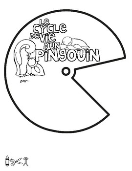 Le Cycle De Vie D Un Pingouin French Life Cycle Spinner Tpt