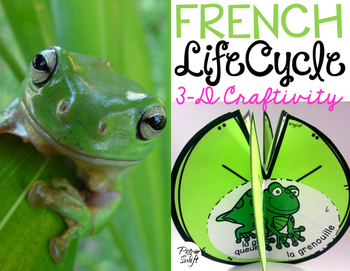 Le Cycle De Vie D Une Grenouille French Life Cycle Craft Tpt