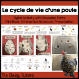 Le cycle de vie d'une poule-The Life Cycle of a Chicken in