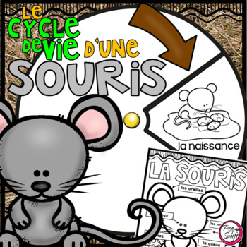 Le Cycle De Vie D Une Souris French Life Cycle Spinner Labeling