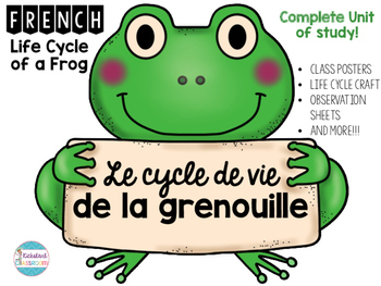 Preview of Le cycle de vie de la grenouille - Life Cycle of A Frog Complete Unit