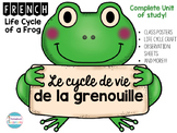 Le cycle de vie de la grenouille - Life Cycle of A Frog Co