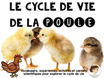 Preview of Le cycle de vie de la poule - Chicken Life Cycle in French