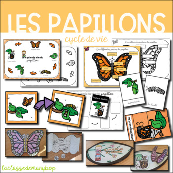 Preview of Le cycle de vie du papillon - FRENCH butterfly life cycle