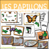 Le cycle de vie du papillon - FRENCH butterfly life cycle