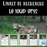 Le loup gris: Livret de recherche animaux (French animal r