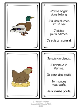 French spring / le printemps - Qui suis-je?? by Primary French Immersion