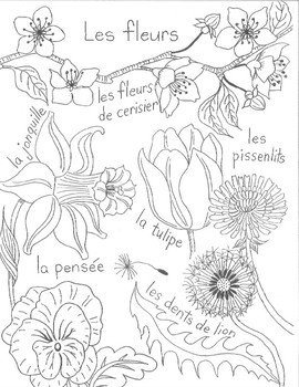 Le printemps: un cahier de coloriage by Apples and Pommes by Suzanne Munroe