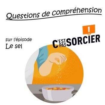 Preview of Le sel - Compréhension