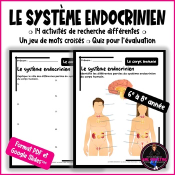 Le système endocrinien I 14 Activités I Quiz I Recherche I Clé de