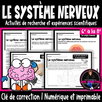 Preview of Le système nerveux I 20 Activités I Quiz I Recherche I Clé de correction
