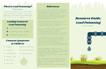 Preview of Lead Poisoning Brochure