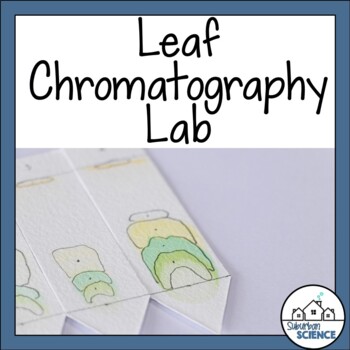 Preview of Leaf Chromatography Lab