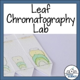 Leaf Chromatography Lab