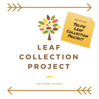 Preview of Leaf Collection Project
