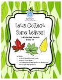 Leaves: Leaf Collection and Identification Cards