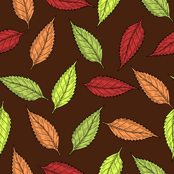 Preview of Leaf Color Sorting
