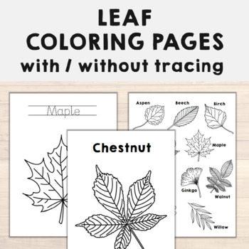 chestnut tree leaf coloring pages