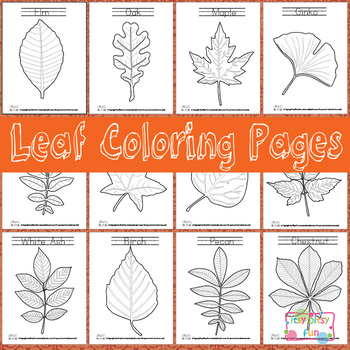 Preview of Leaf Coloring Pages - Leaf Activites