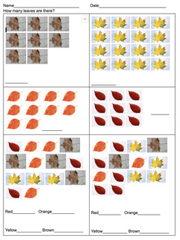Preview of Leaf Counting Worksheet