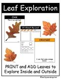 Leaf Exploration Activities