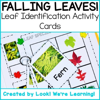 Preview of Fall Science Centers: Leaf Identification Flashcards - Falling Leaves!