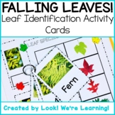 Fall Science Centers: Leaf Identification Flashcards - Fal