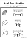 Leaf Identification Trace and Box Write Worksheets.