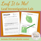 Leaf It to Me! Leaf Investigation Lab (Photosynthesis/Leaf