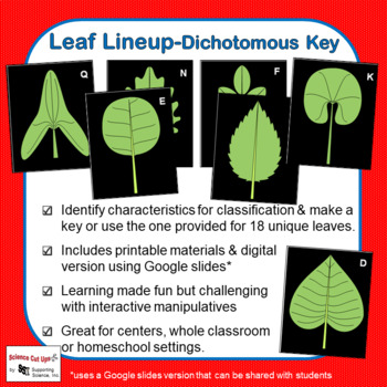 Leaf Lineup Dichotomous Key By Science Cut Ups Tpt