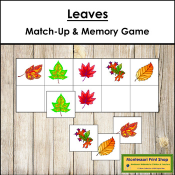 Preview of Leaves Match-Up and Memory Game (Visual Discrimination & Recall Skills)