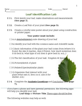 Preview of Leaf Measurement, Identification and Nature of Science Activity