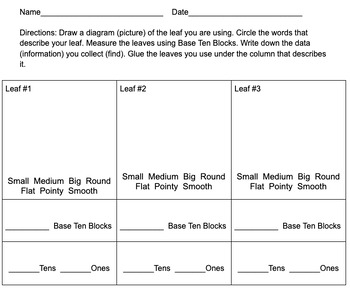 Preview of Leaf Measuring Worksheet