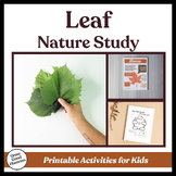 Leaf Nature Study - An Activity Pack for K-2!