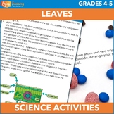 Leaf Parts & Photosynthesis Activities– Plant Structures -