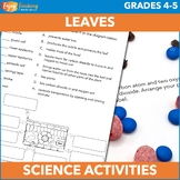 Leaf Parts & Photosynthesis Activities– Plant Structures -